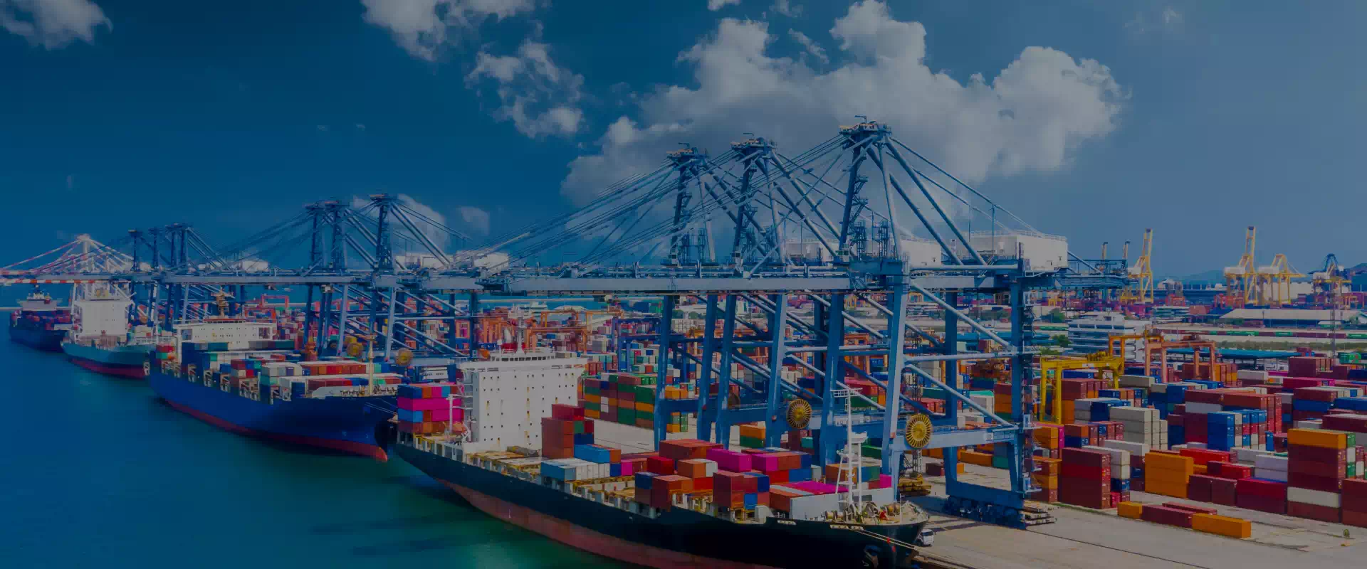 Well-Known Crane Manufacturer In China